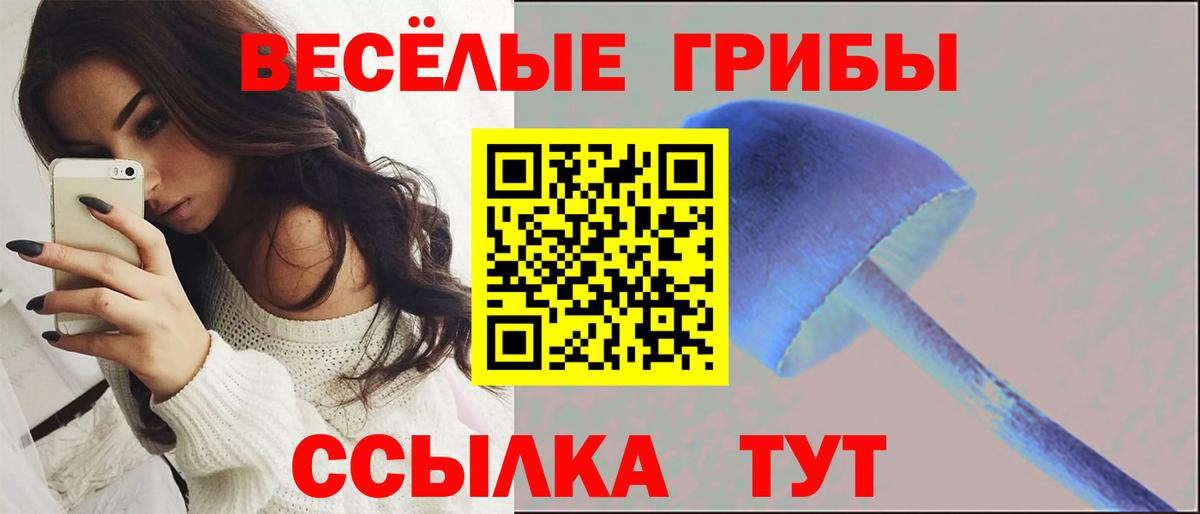 Галлюциногенные грибы ЛСД Чайковский