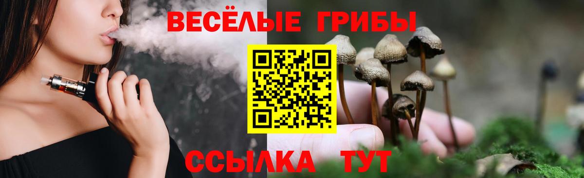 Чайковский  наркотики  Вход с VPN  Галлюциногенные грибы Magic Shrooms 